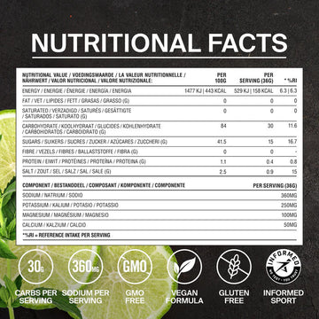 Styrkr Mix+ Lime Mint Dual-Carb & Electrolyte Drink Mix - 895g