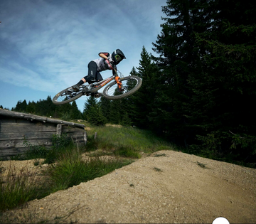 Pivot Firebird Carbon 29" - Pro XT/XTR Air - Silver Sunrise -