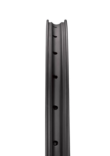 Reserve 31 DH 29" Carbon 6 Bolt - DT 350 -