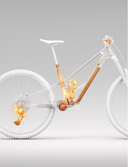 Orbea Rallon RS LTD Custom -