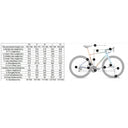 X-LAB AD9 Aero Road Bike - Astana -