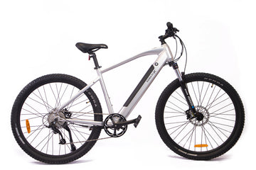 23 Velectrix Ascent 29" - Silver -